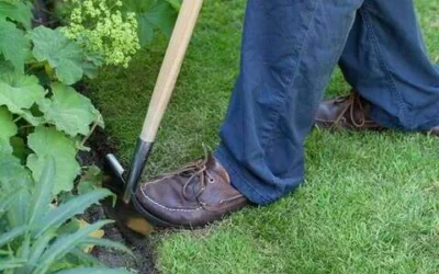 Edging Into Spring: Why a Clean Garden Edge Makes All the Difference
